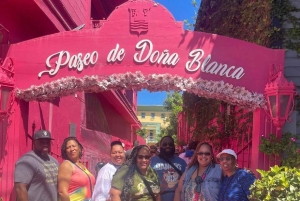 Puerto Plata: santuário de macacos, fortaleza e degustação de rum