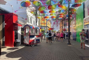 Puerto Plata: santuário de macacos, fortaleza e degustação de rum