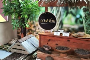 Puerto Plata : Visite privée de la ville et de la plage