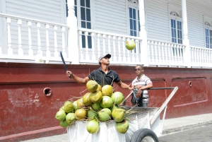 Puerto Plata Tour: History, Culture and Cable Car Ride
