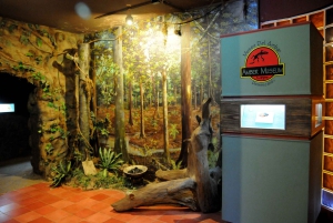 Puerto Plata Tour: History, Culture and Cable Car Ride