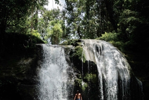 Puerto Rico: Cueva del Indio, Waterfalls, & Beach Tour