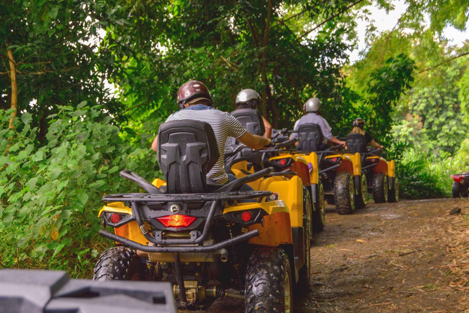 Puerto Rico: Hacienda Campo Rico ATV-Erlebnis mit Abholung