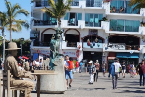 Puerto Vallarta: 3 Hour Eating, Walking, and Shopping Tour