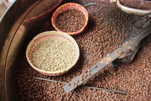 Puerto Vallarta: Botanical Gardens, Distillery & Coffee Tour