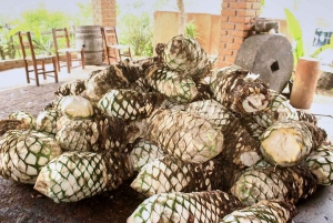 Puerto Vallarta: Botanical Gardens, Distillery & Coffee Tour