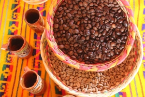 Puerto Vallarta: City Tour, Tequila and Coffee Factory Tour