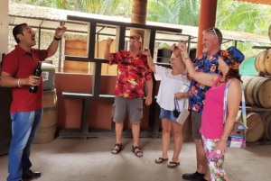 Puerto Vallarta: City Tour