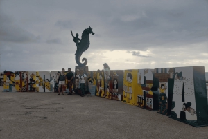 Puerto Vallarta: City Tour