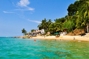 Puerto Vallarta: Bootstour Los Arcos, Ánimas und Quimixto
