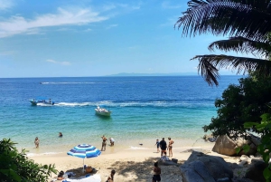 Puerto Vallarta: Private Colomitos & Madagascar Beaches Tour