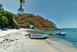 Puerto Vallarta: Private Tour Hiking Quimixto Waterfall