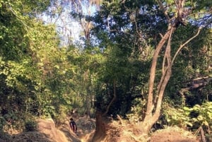 Puerto Vallarta: Private Tour Hiking Quimixto Waterfall