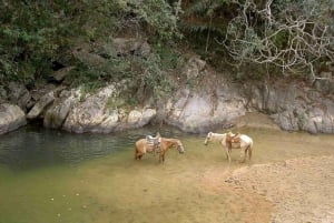 Puerto Vallarta: Private Tour Hiking Quimixto Waterfall