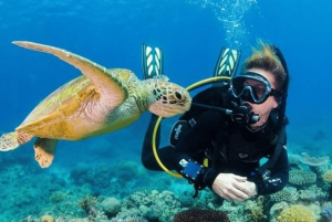 Punta Cana Catalina Island Adventure Snorkeling