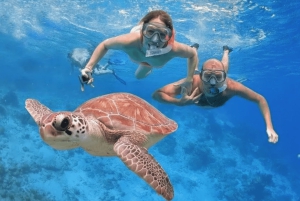 Punta Cana Catalina Island Adventure Snorkeling