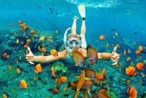 Punta Cana: Wyspa Catalina i nurkowanie z rurką dla małych grup