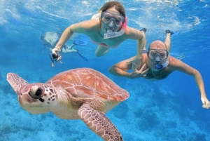 Punta Cana: Dagsudflugt til Catalina Island med snorkling