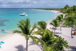 Punta Cana: Dagsudflugt til Catalina Island med snorkling