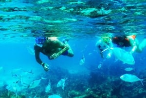 Punta Cana: Catalina Island Snorkeling Trip with Lunch