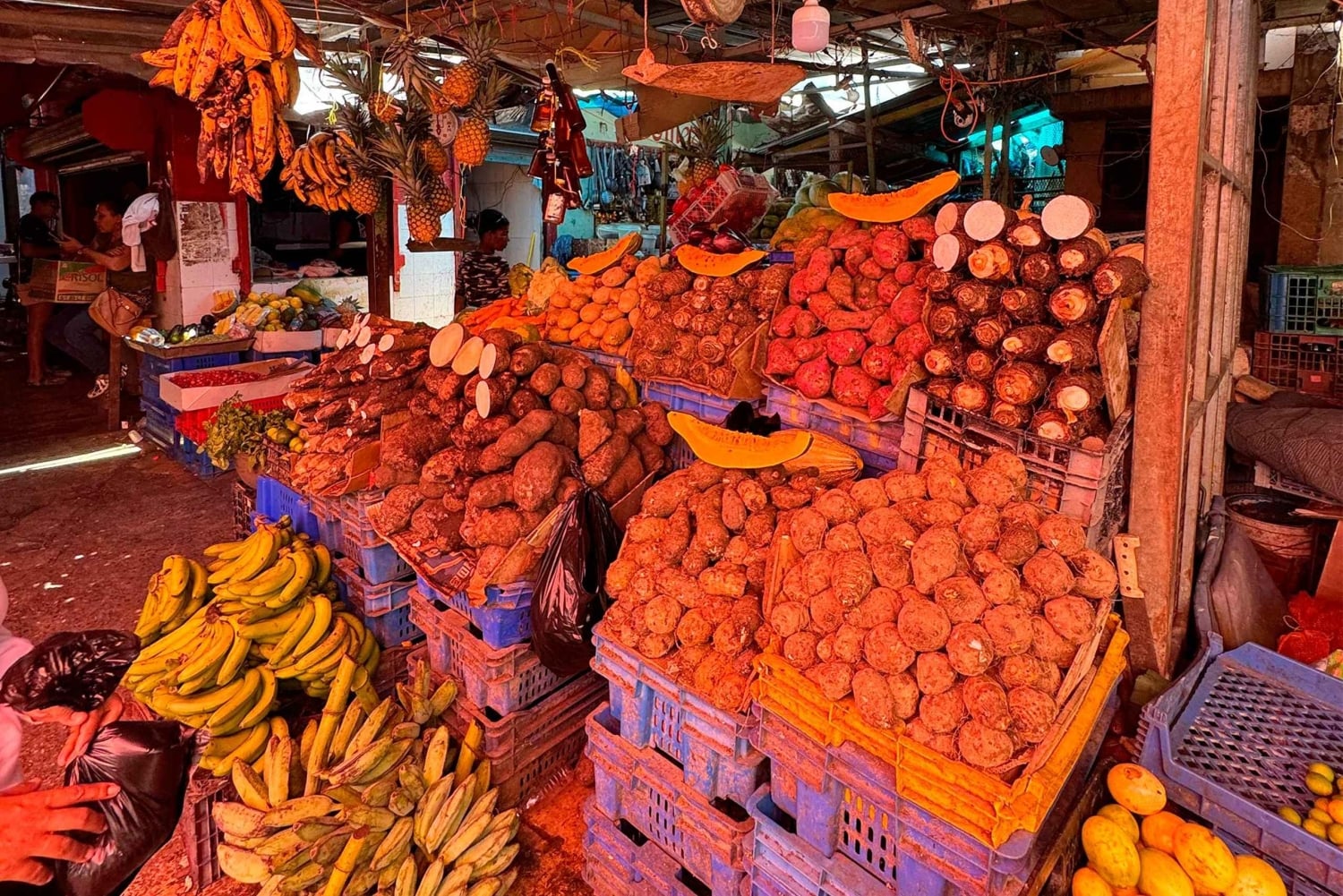 Punta Cana Cultural Tour History and Traditions Small Group