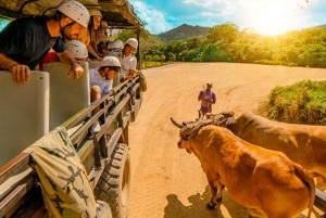 Punta Cana Cultural Tour História e Tradições em pequenos grupos