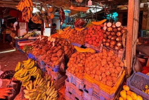 Punta Cana Cultural Tour History and Traditions Small Group