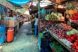 Punta Cana Cultural Tour History and Traditions Small Group