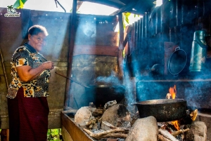 Punta Cana Cultural Tour History and Traditions Small Group