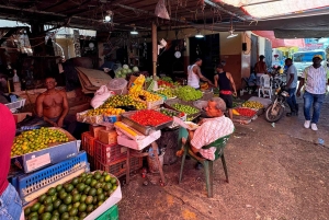 Punta Cana Cultural Tour History and Traditions Small Group