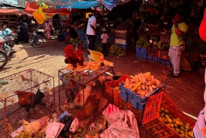 Punta Cana Cultural Tour History and Traditions Small Group