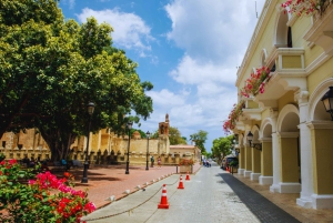 Punta Cana: Experience the essence of Santo Domingo with lunch and a visit to the Colonial Zone