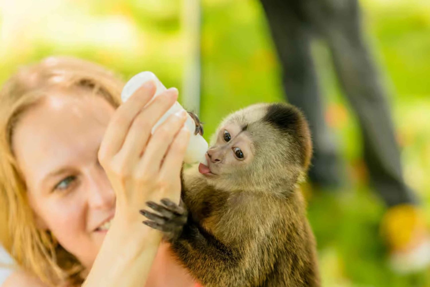 プンタカナ：モンキーランドアドベンチャー（ホテル送迎付き）