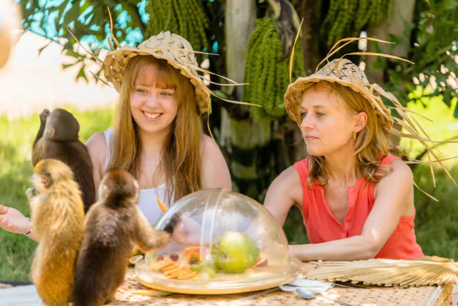 プンタカナ：モンキーランドアドベンチャー（ホテル送迎付き）