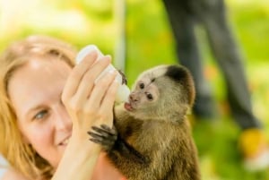 プンタカナ：モンキーランドアドベンチャー（ホテル送迎付き）