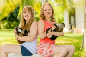 プンタカナ：モンキーランドアドベンチャー（ホテル送迎付き）