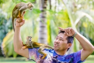 プンタカナ：モンキーランドアドベンチャー（ホテル送迎付き）