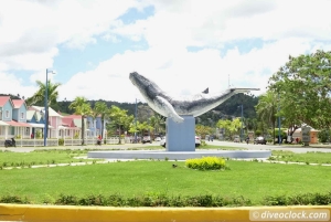 Punta Cana: Viagem diurna a Playa Rincon, Samana e Cayo Levantado