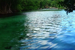 Punta Cana: Viagem diurna a Playa Rincon, Samana e Cayo Levantado