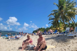 Punta Cana:Samaná Bay,Bacardí Island and El Limón Waterfall