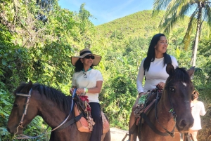 Punta Cana:Samaná Bay,Bacardí Island and El Limón Waterfall