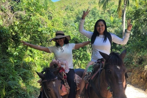 Punta Cana:Samaná Bay,Bacardí Island and El Limón Waterfall