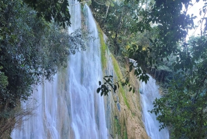 Punta Cana:Samaná Bay,Bacardí Island and El Limón Waterfall