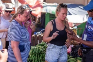 Punta Cana:Samaná Bay,Bacardí Island and El Limón Waterfall
