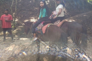 Punta Cana:Samaná Bay,Bacardí Island and El Limón Waterfall