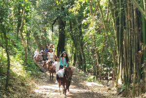 Punta Cana:Samaná Bay,Bacardí Island and El Limón Waterfall