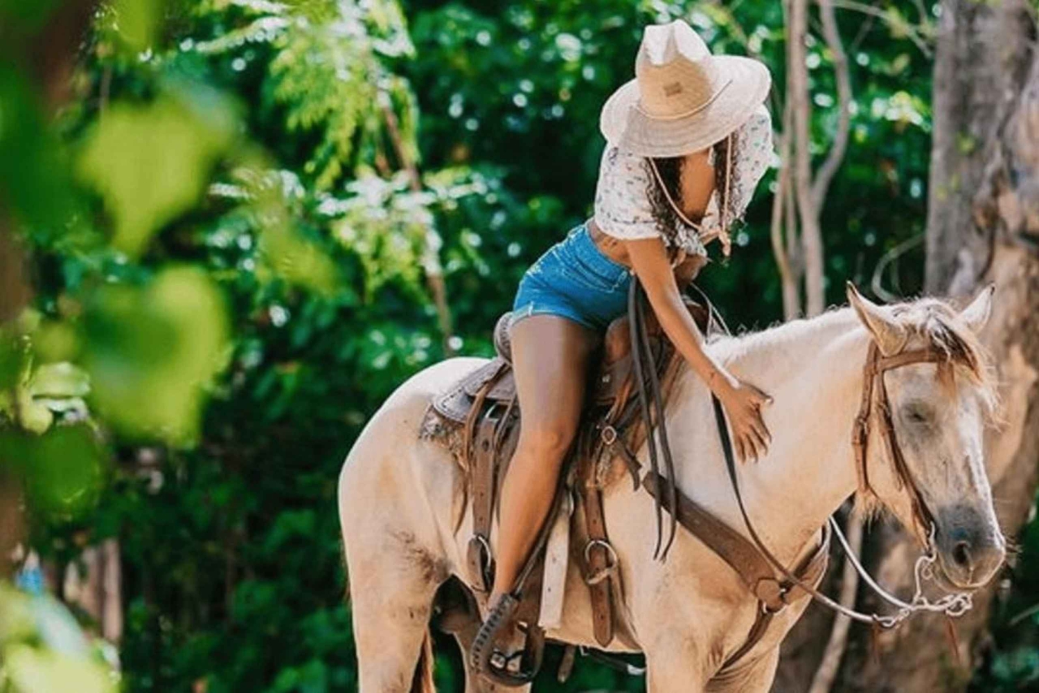 Punta Cana: Dagsudflugt til Samaná med El Limón-vandfaldet