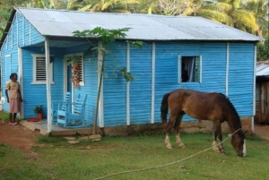 Punta Cana: Dagsudflugt til Samaná med El Limón-vandfaldet