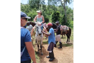 Punta Cana: Dagsudflugt til Samaná med El Limón-vandfaldet