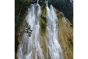 Punta Cana: Dagsudflugt til Samaná med El Limón-vandfaldet